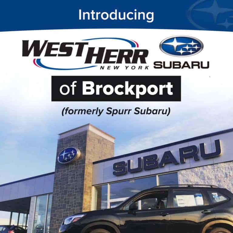 Spurr Subaru Acquired By West Herr Auto Group West Herr Auto Group