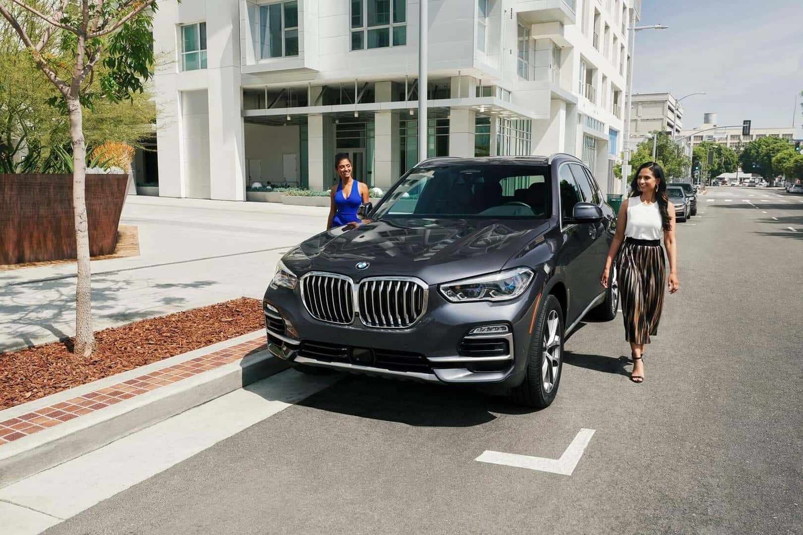 BMW X5 Trim