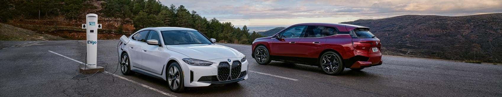 Electric Car Dealer
