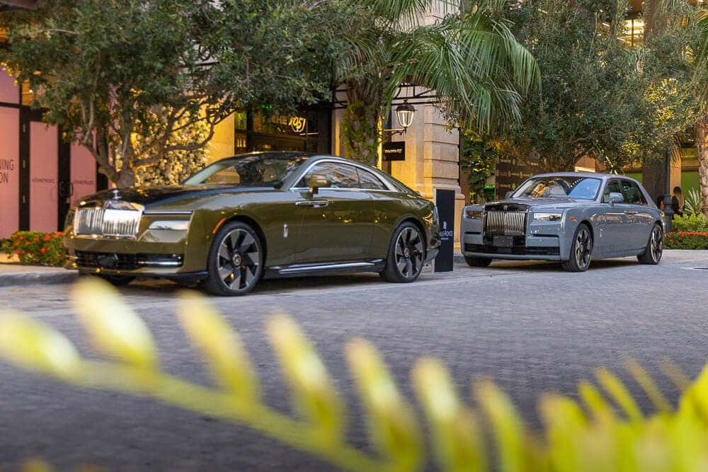 CVICHE X RR 61