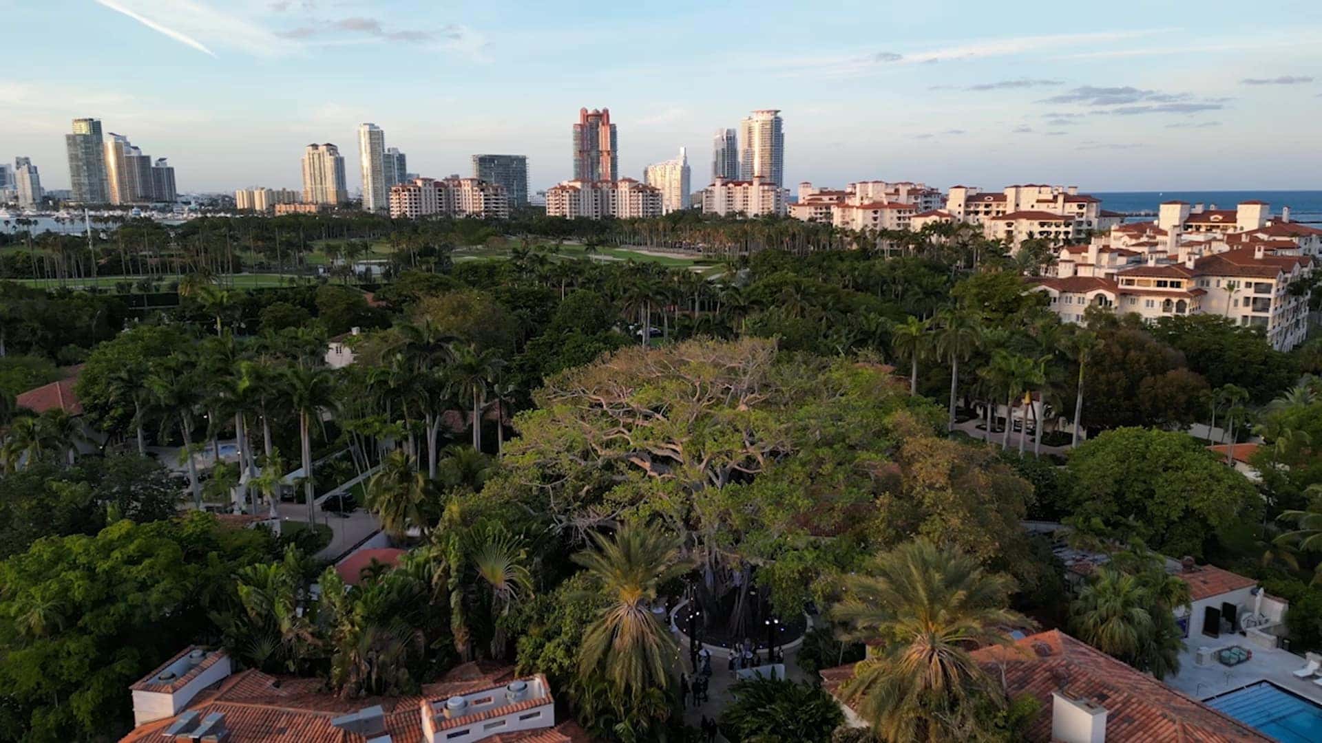 Fisher Island and Friends