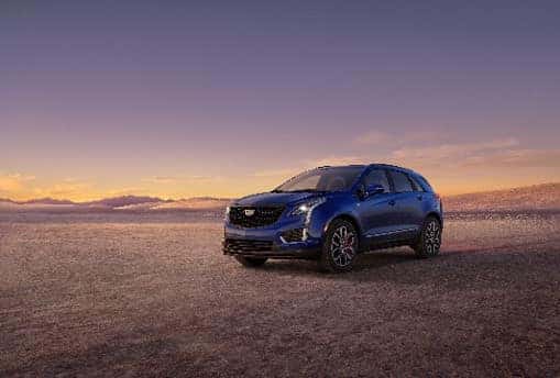 To Lease, or Not to Lease? 