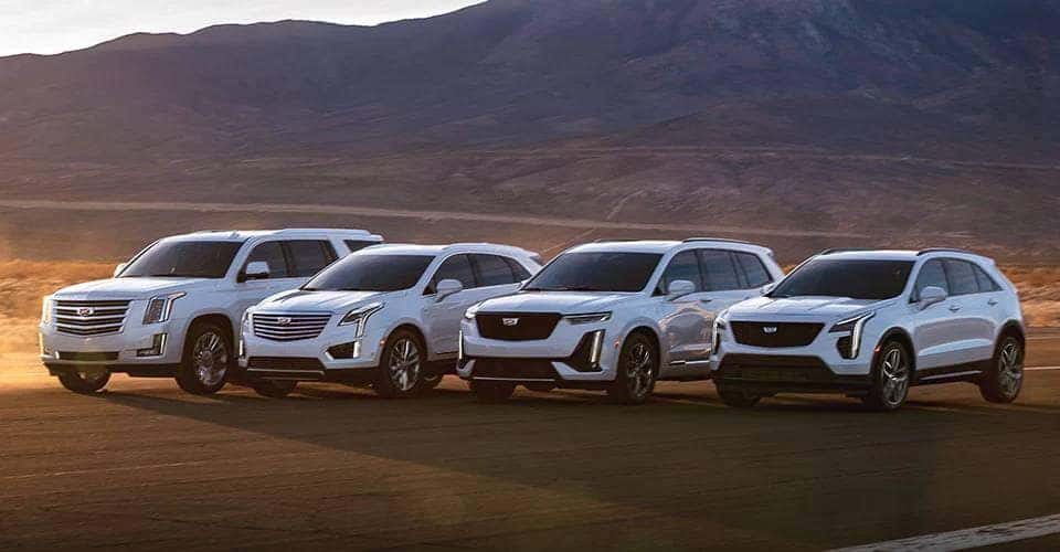 2022 Cadillac SUV Lineup