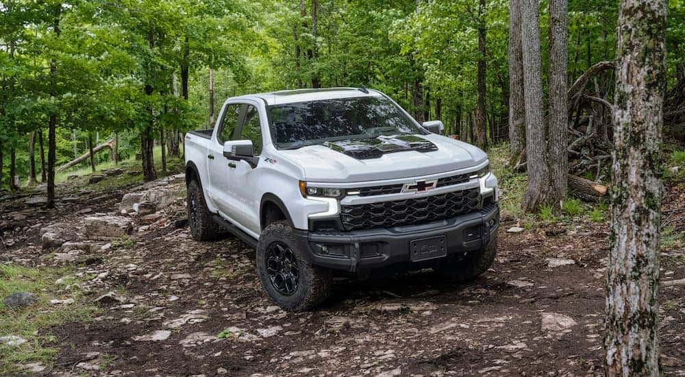 A white 2024 Chevy Silverado 1500 ZR2 Bison is shown from the front.