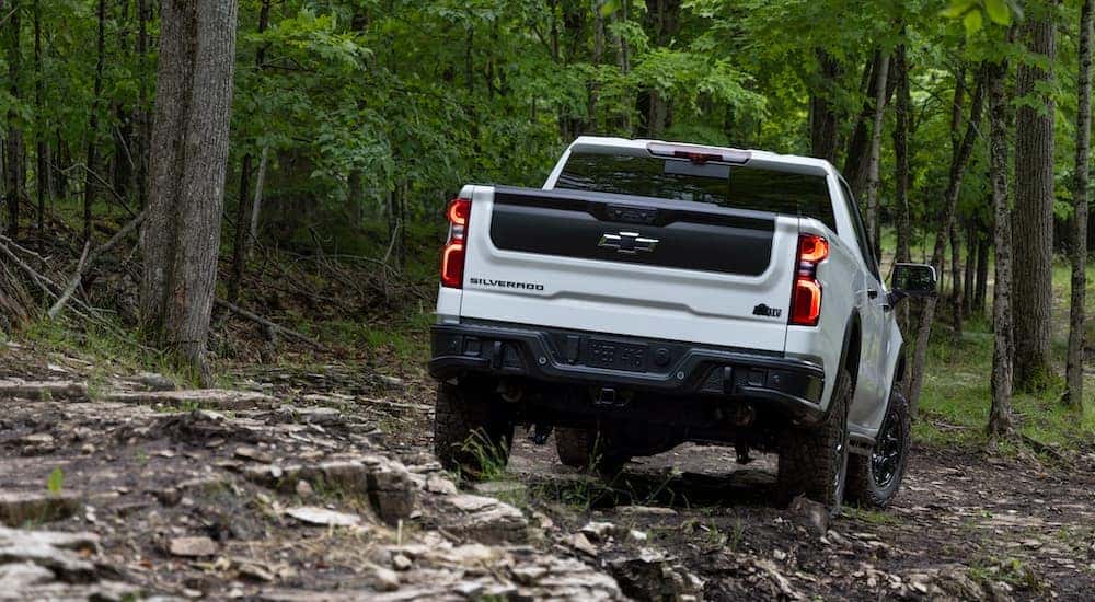 A white 2023 Chevy Silverado 1500 ZR2 Bison is shown from the rear.
