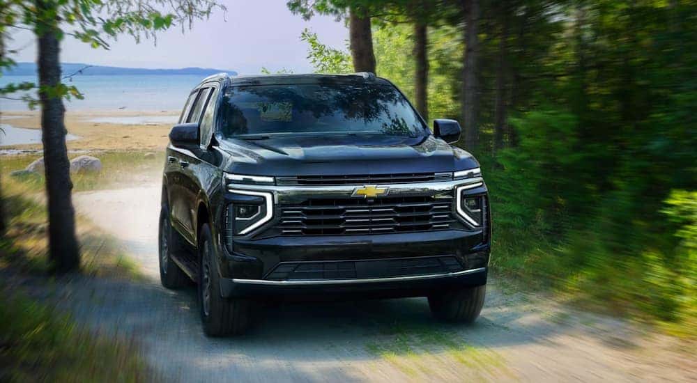 A black 2025 Chevy Tahoe for sale near Marshall driving through a forest road.