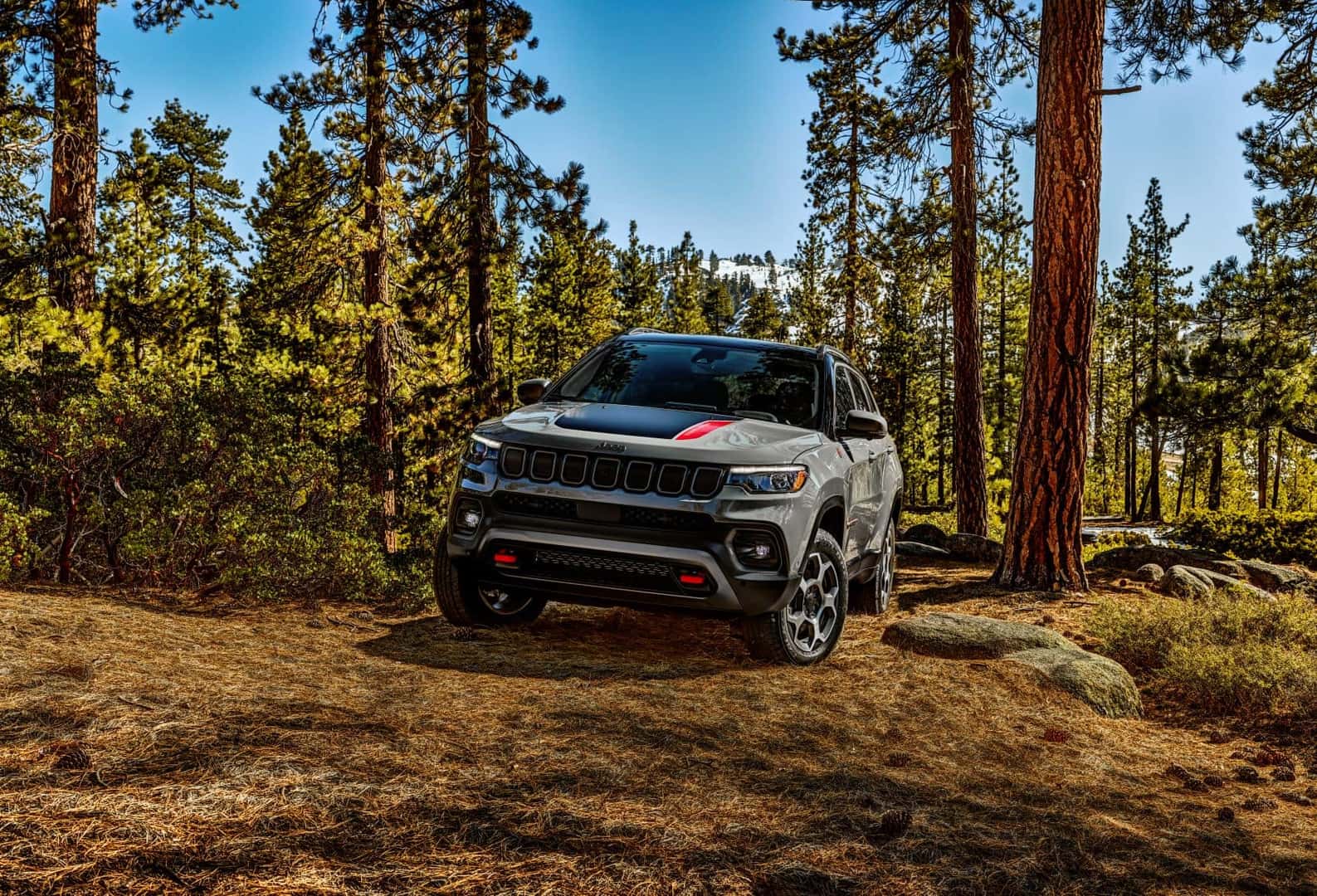 2022 Jeep Compass in the Forest