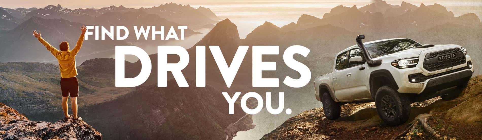 Find What Drives You Homepage