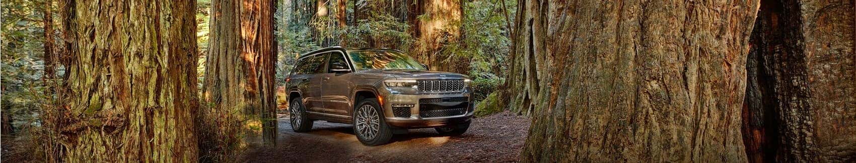Jeep Grand Cherokee L in Forest 