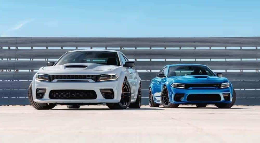 A white and a blue 2023 Dodge Charger SRT Hellcat parked beside eachother.