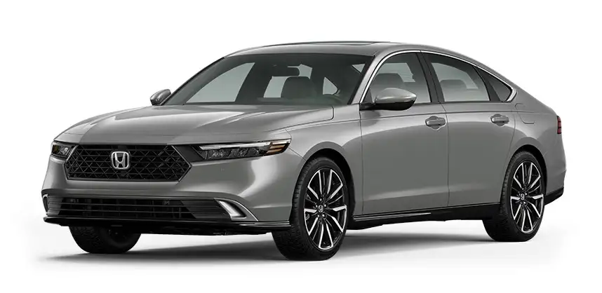 Urban Gray Pearl*