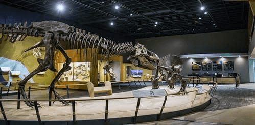 Cleveland Museum of Natural History