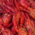 Multiple crawfish served