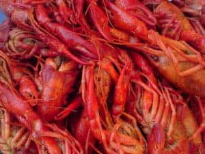 Multiple crawfish served