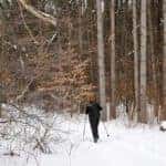 A person playing in the snow in a forest in Trenton, NJ