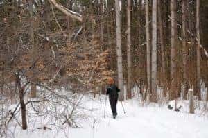 A person playing in the snow in a forest in Trenton, NJ
