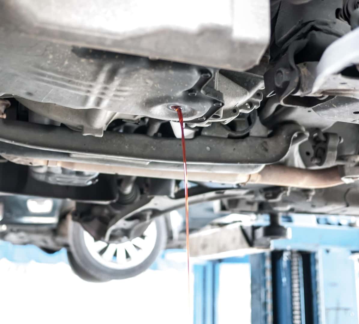 Transmission Fluid is Leaking