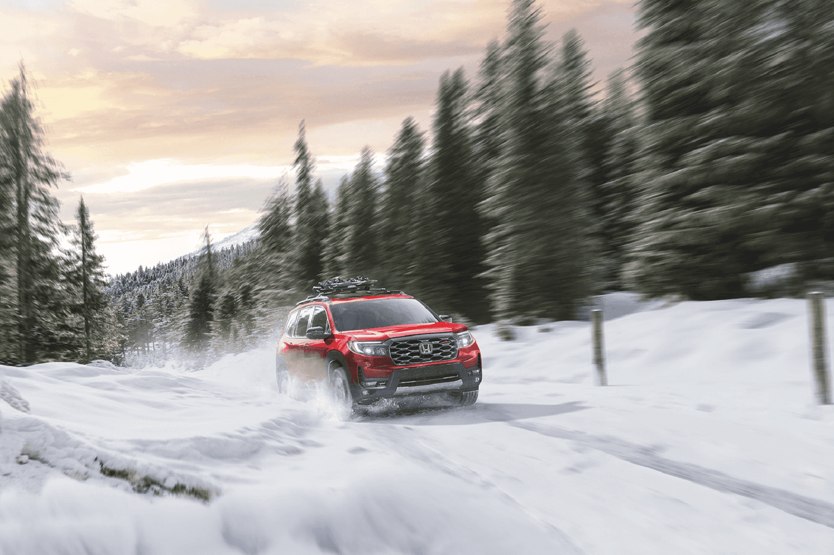 Honda Passport
