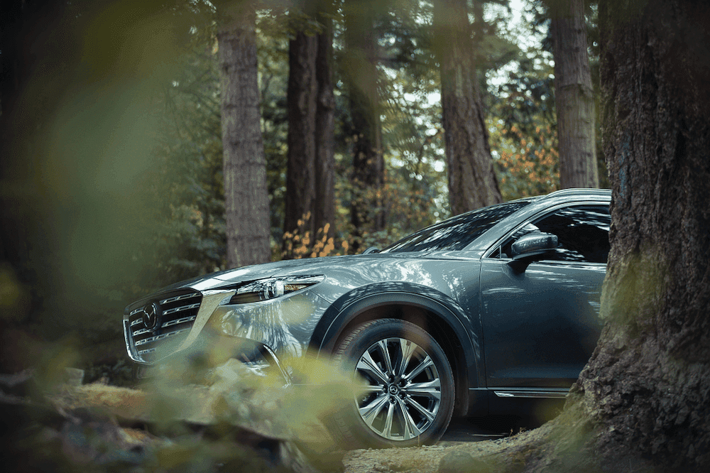 Mazda CX-9 In the Woods Near Walpole, MA | Ira Mazda