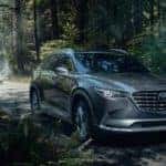 Gray Mazda CX-9 SUV Forest
