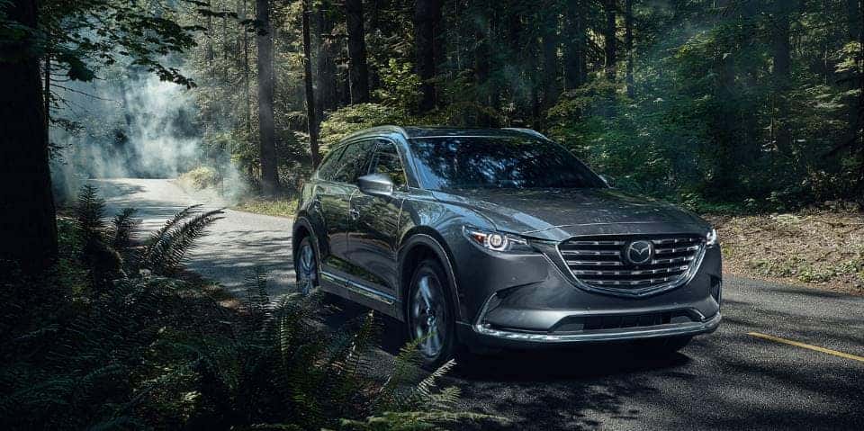 Gray Mazda CX-9 SUV Forest