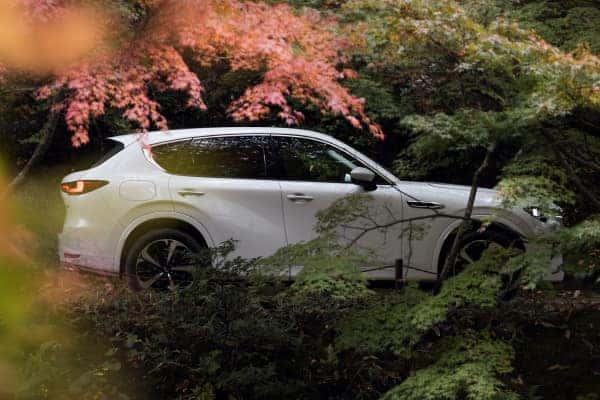 White Mazda CX-60 SUV Green Trees Red Leaves