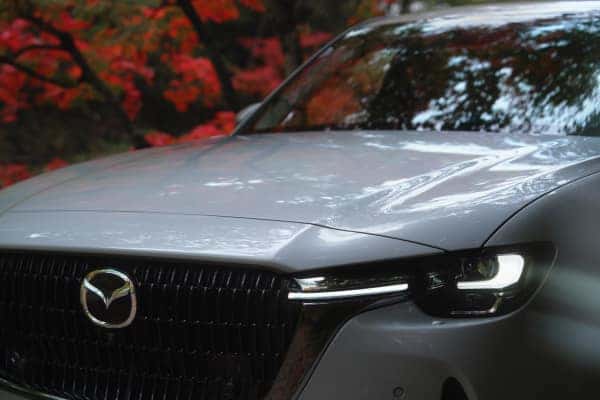 White Mazda SUV Grille Red Leaves