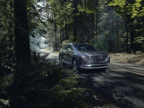 Green Mazda CX-9 SUV Trees Road