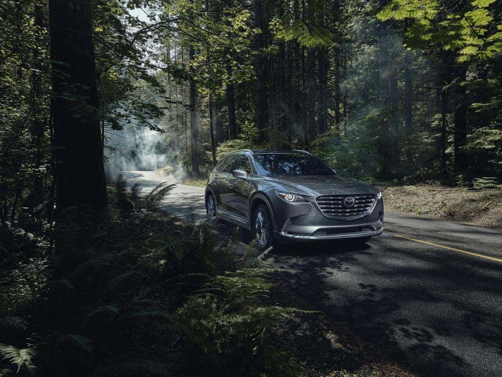 Gray Mazda Cx-9 SUV Trees Road
