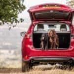 Red Mazda SUV Dogs