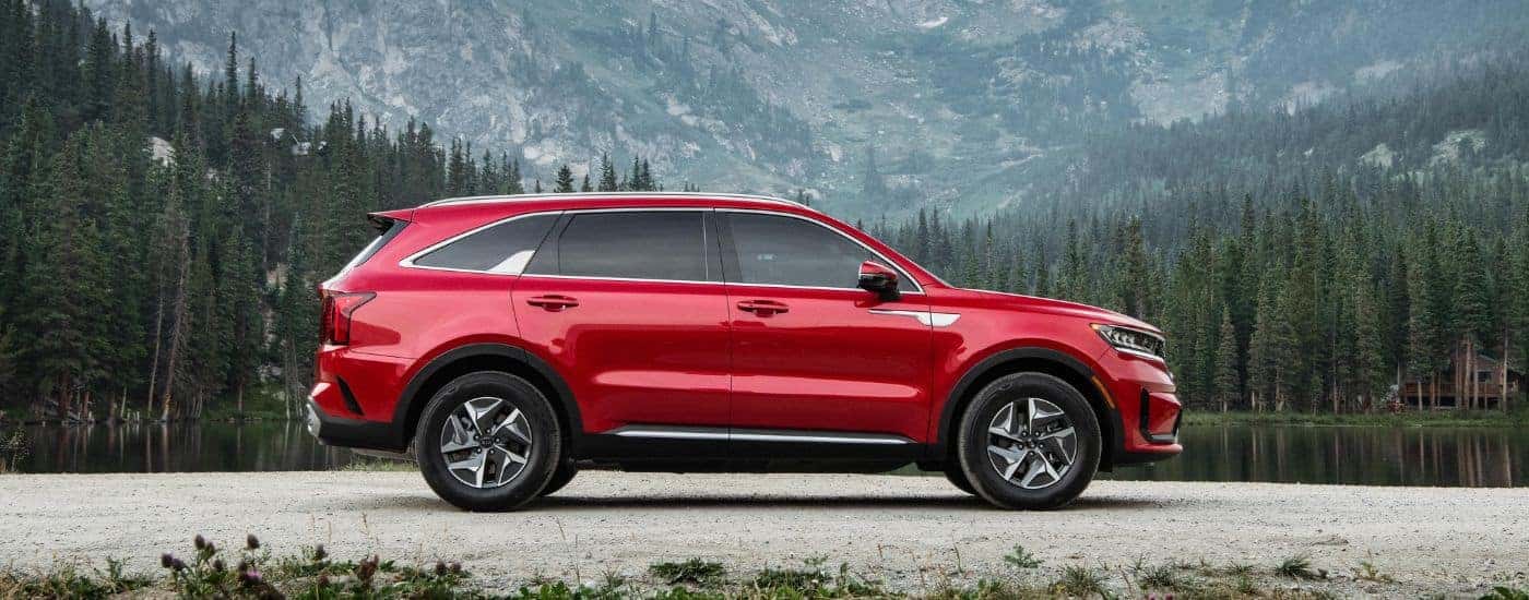 A red 2023 Kia Sorento Hybrid parked by pine trees.