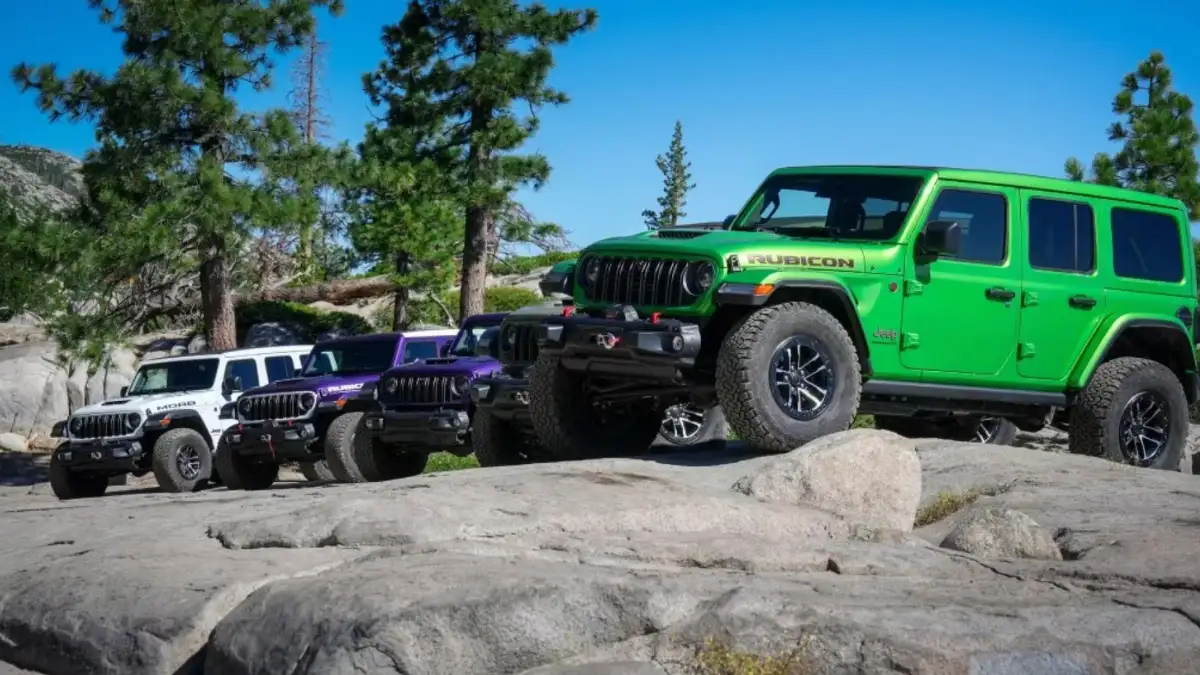 New Jeep Wranglers in an Oregon Forest