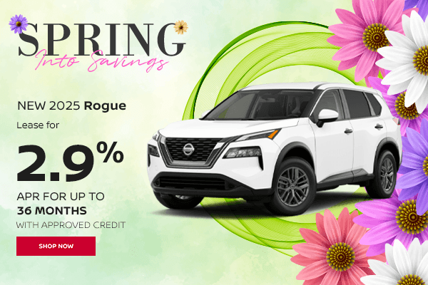 NEW 2025 ROGUE