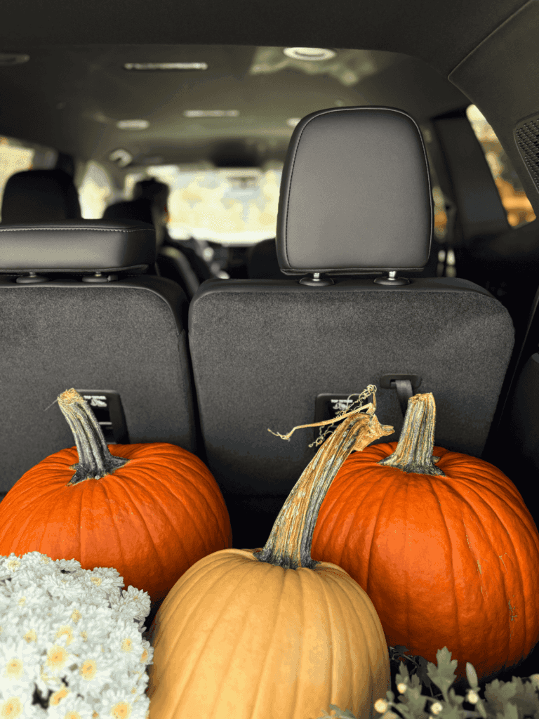 2027 GMC Acadia cargo space filled with pumpkins and fall mums near Boyertown PA