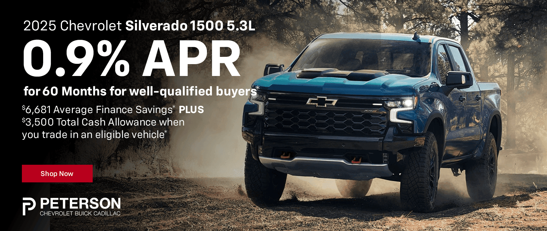2025 Silverado 1500 5.3L