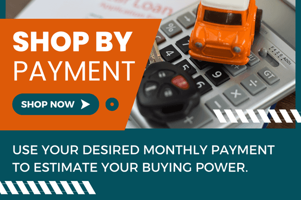 Shop By Payment