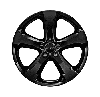 20-Inch High-Gloss Black