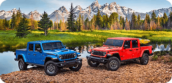 A vibrant and growing range of available colors