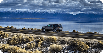 Adaptive Cruise Control with Stop and Go*