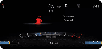 DROWSY DRIVER DETECTION*