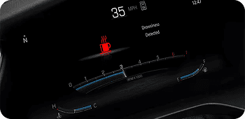 DROWSY DRIVER DETECTION