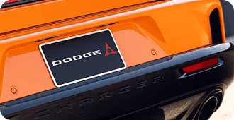 DUAL EXHAUST TIPS