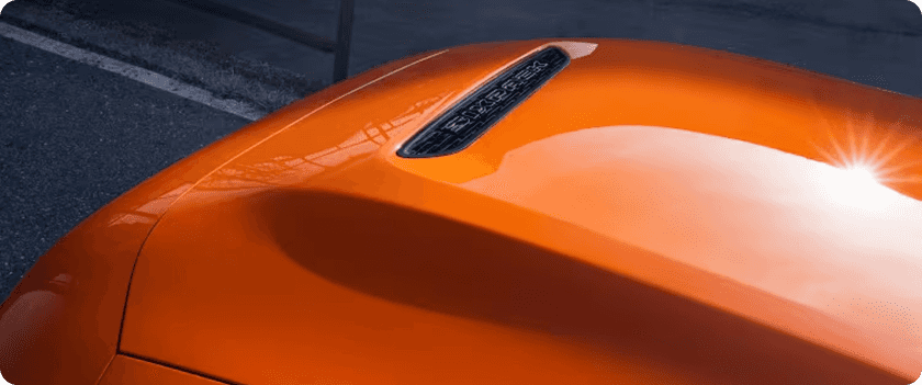 PERFORMANCE HOOD