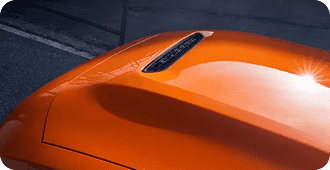 PERFORMANCE HOOD