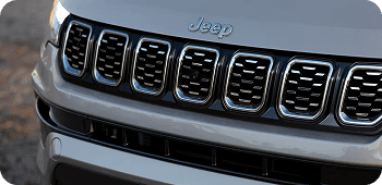 THE GRILLE WILL GLEAM