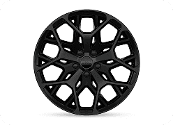 21-Inch Black Noise