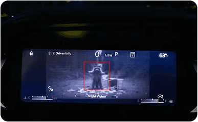 Night Vision Camera