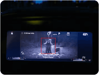 Night Vision Camera