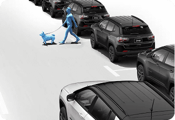 Pedestrian and Cyclist Detection with Automatic Braking*