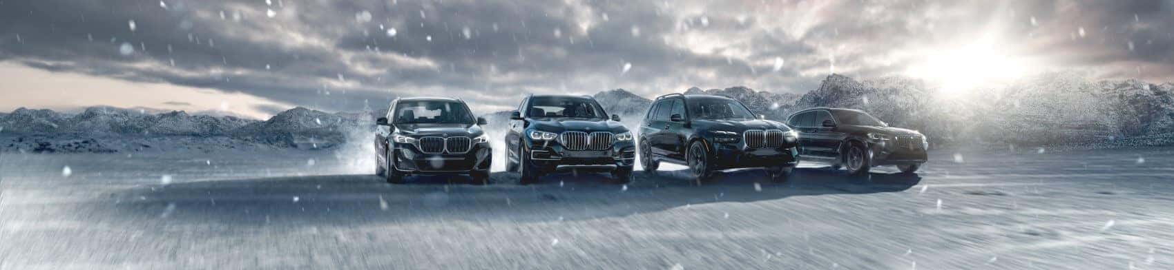 BMW X Range